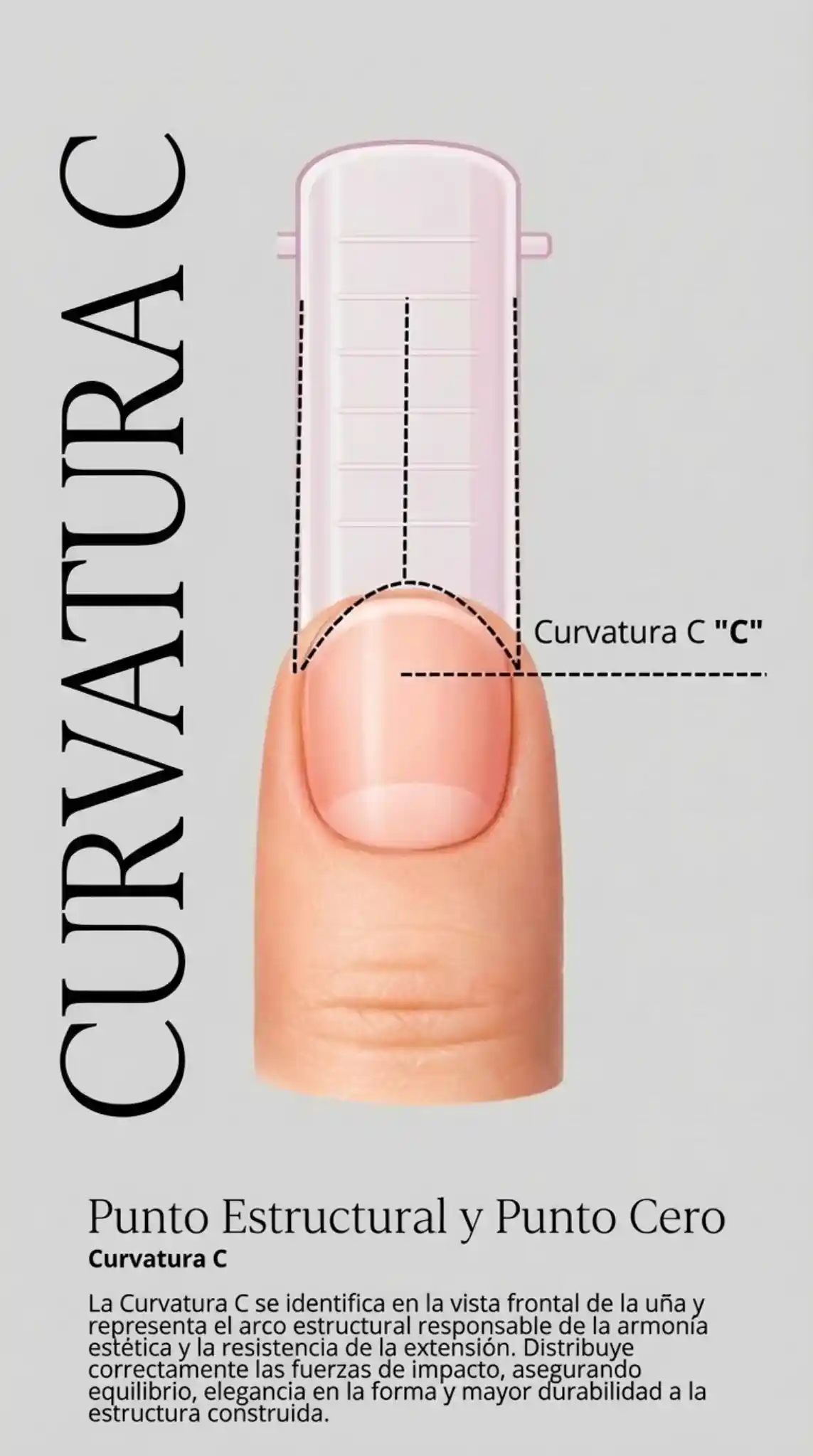 Keep_exact_same_finger_with_F1_mold_showing_C_curv-1769732180441