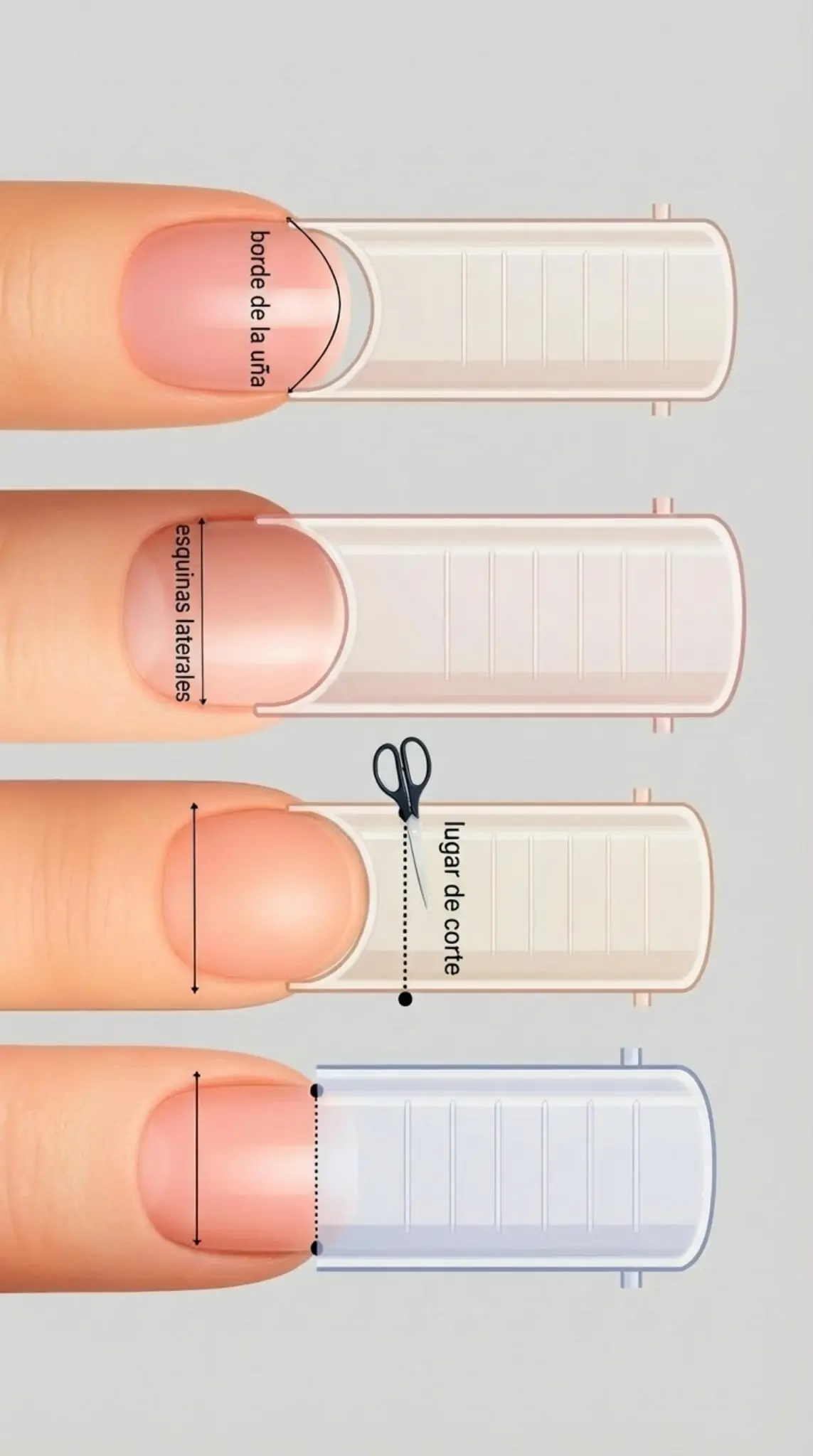 Keep_exact_same_four_fingermold_illustrations_wit-1769732171606