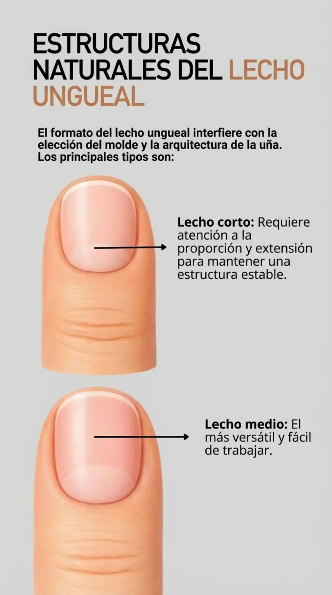 Keep_exact_same_two_finger_illustrations_with_nail-1769732184458