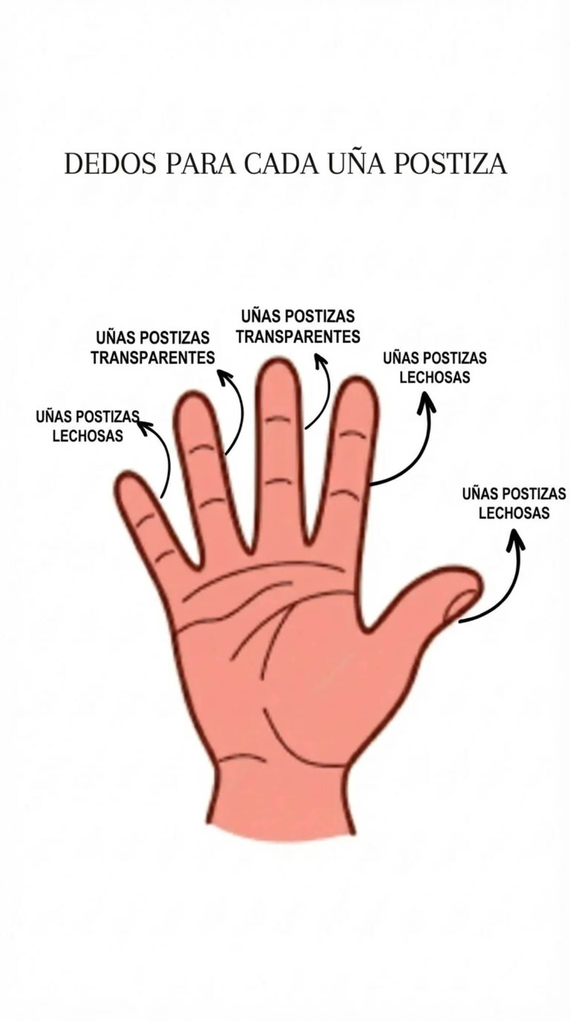 Keep_the_exact_same_image_design_hand_illustratio-1769861194440