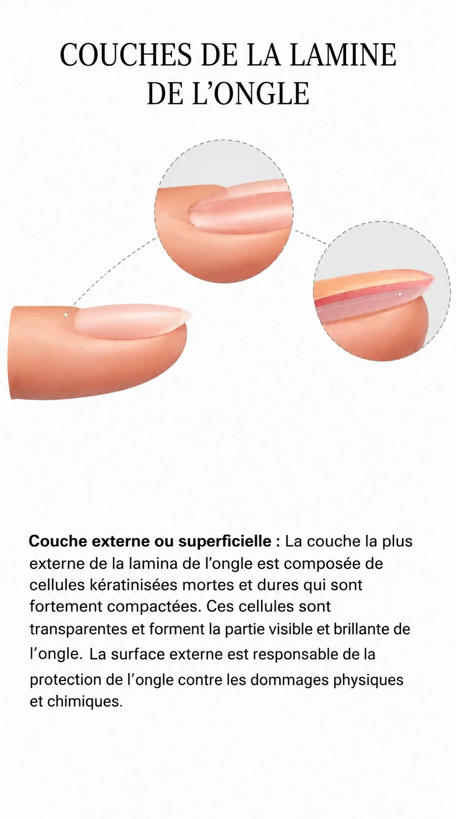 couches_lamine_ongle_1143x2048