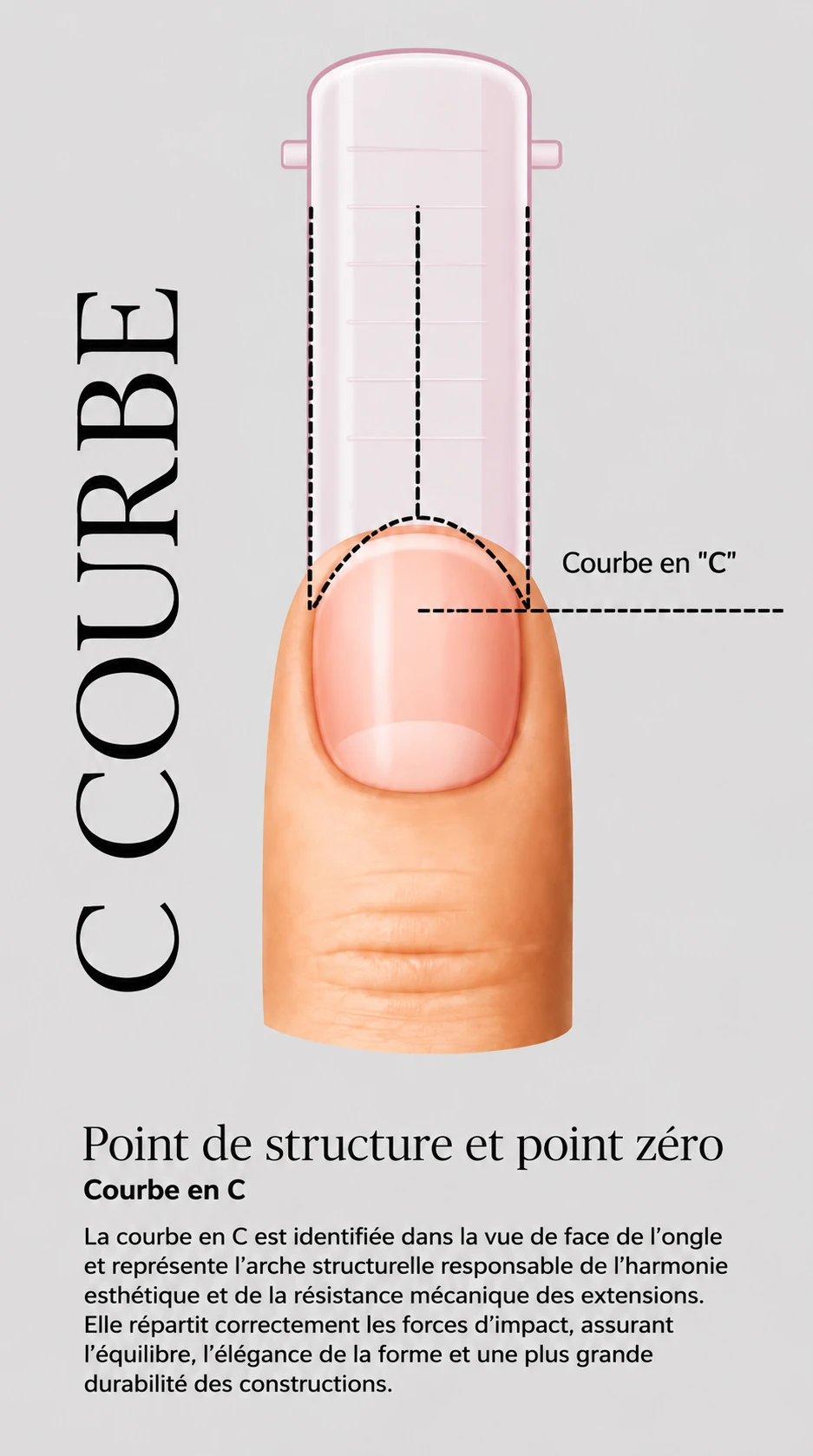 courbe_en_c_1143x2048