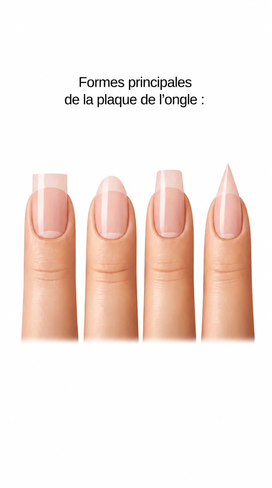 formes_principales_plaque_ongle_1143x2048