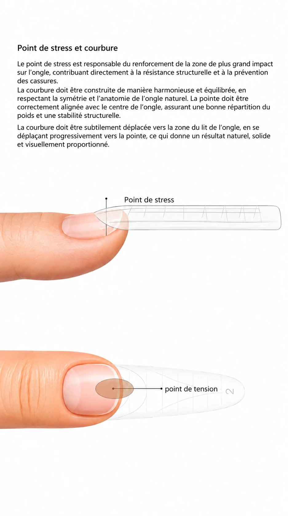 point_de_stress_et_courbure_1143x2048