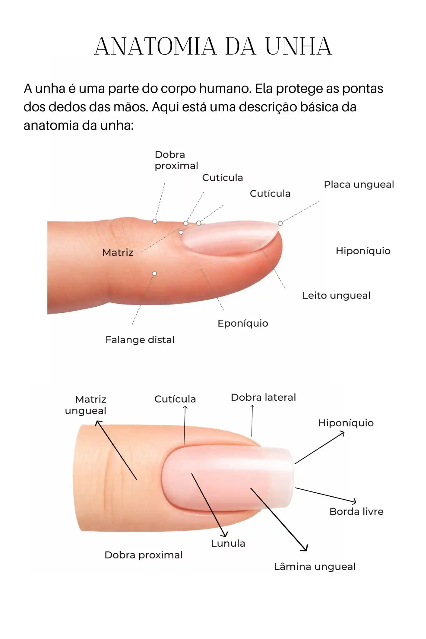 softgel_6