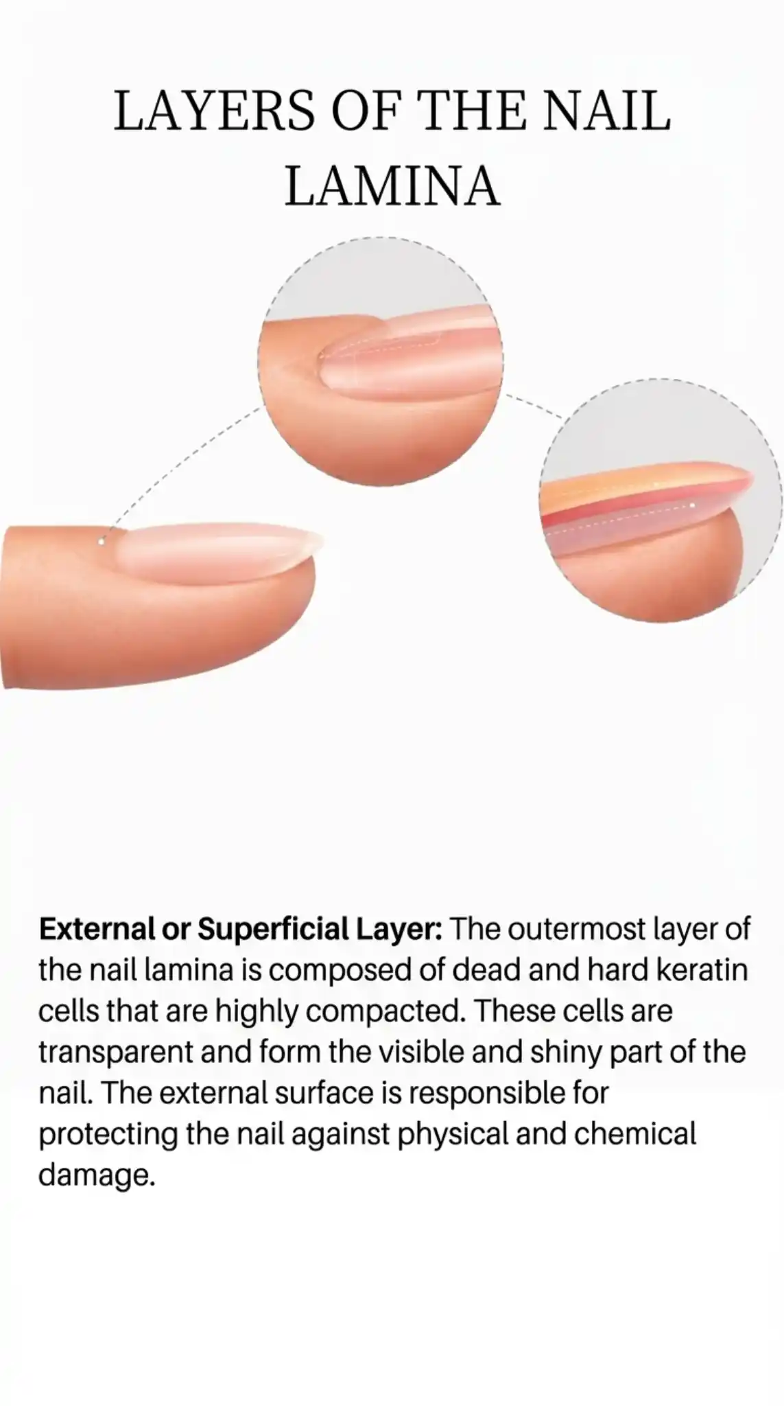 softgel_en_5